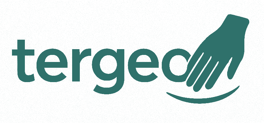 Tergeo Cleaning Services logo featuring a wordmark with a stylized hand motif in soft teal, representing care for people and place.